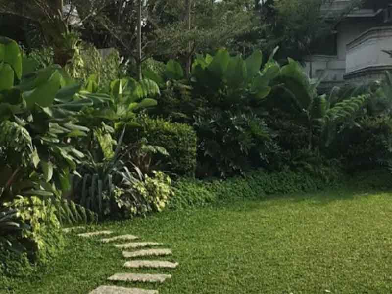Waterproofing Company in the philippines